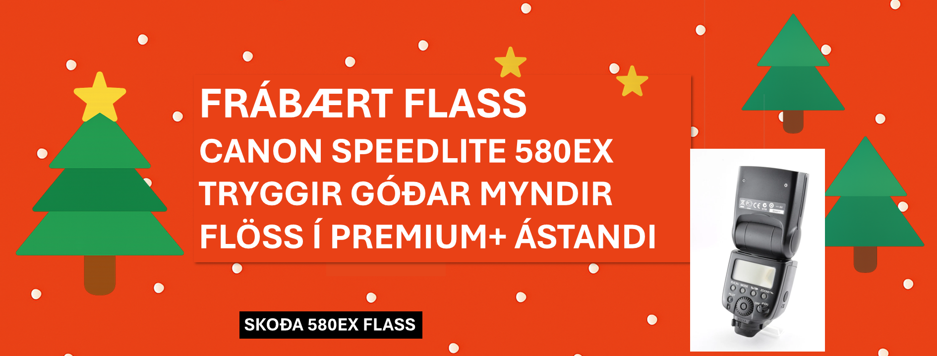 Canon Speedlite 580EX II – Flöss