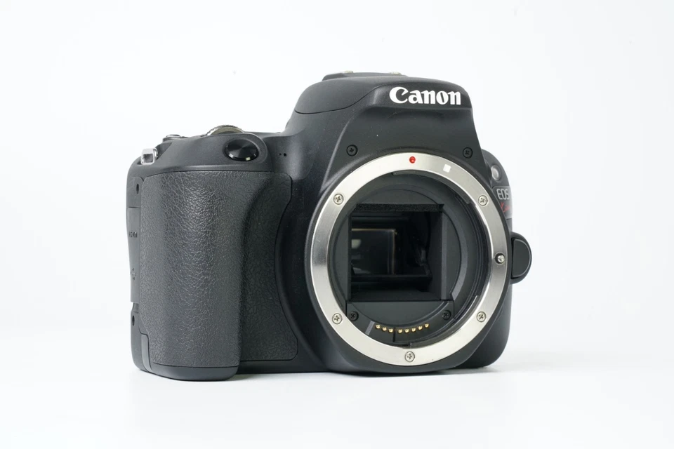 Canon EOS 200D (Rebel SL2 / Kiss X9) + EF-S 18–55mm IS STM – Exc+++++ | 3.425 smellir