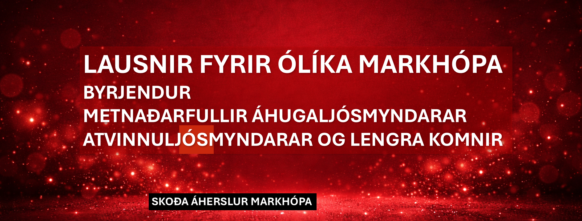 Leiðarvísir fyrir markhópa